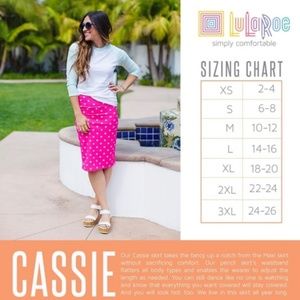 LuLaRoe Cassie Pencil Skirt